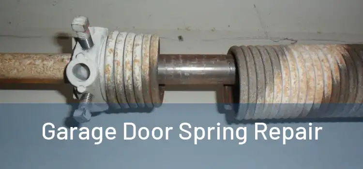  Garage Door Spring Repair 