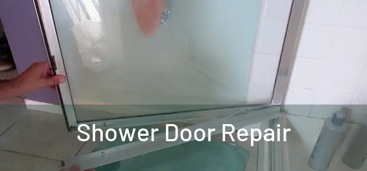  Shower Door Repair 